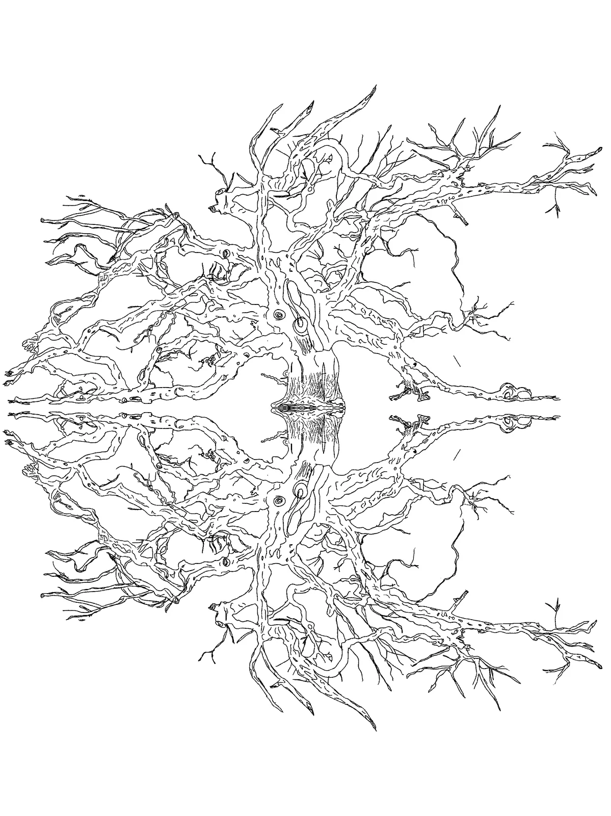 Crooked Symmetry, The Slough X Yeast of Eden, plate 6 of 11