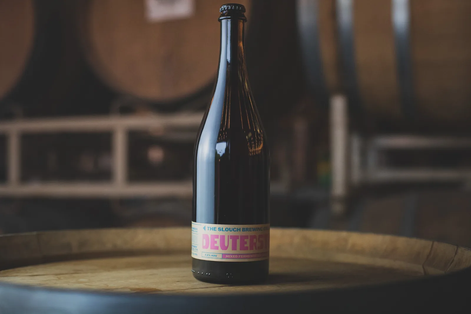 Deuterstome Mixed Fermentation Sour Ale Bottle Label, plate 6 of 7