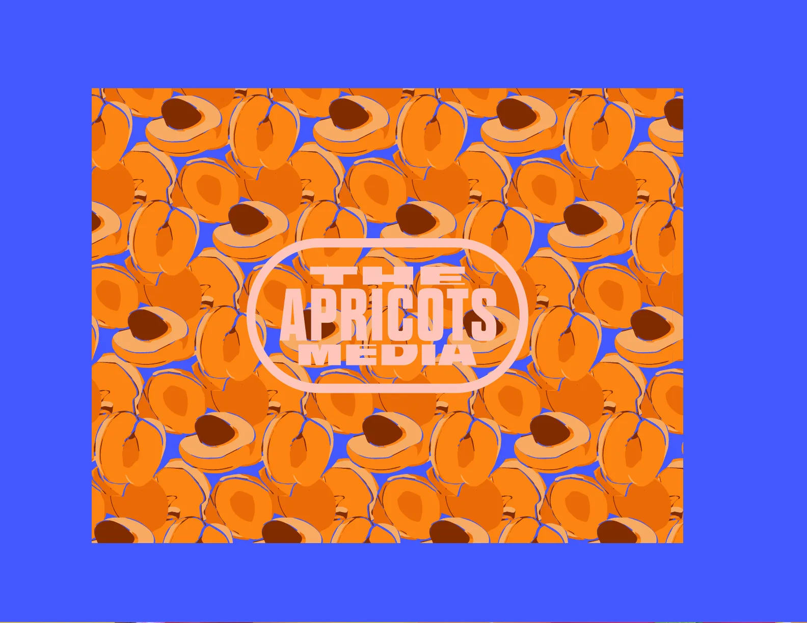 The Apricots Media, Branding, plate 11 of 16