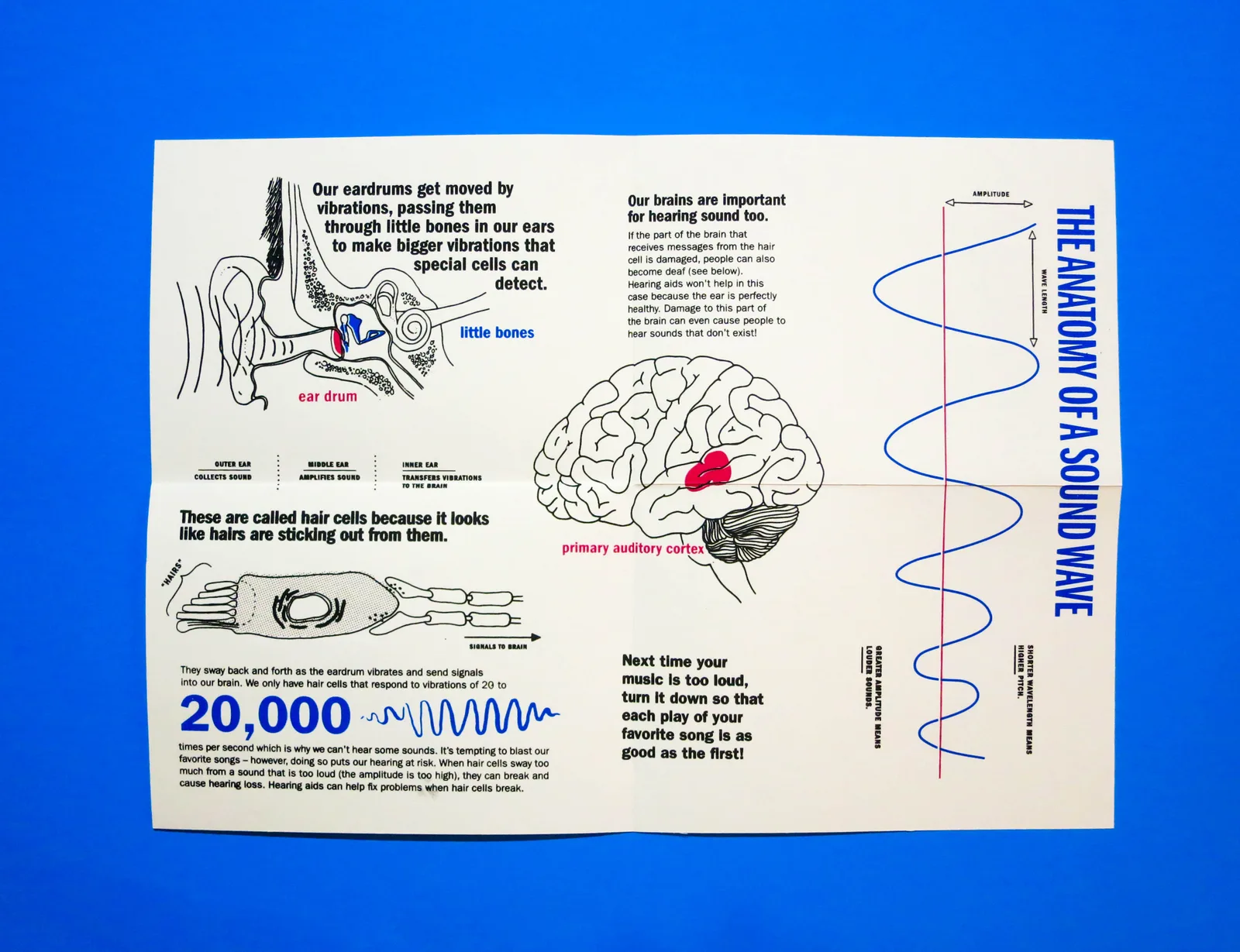 The Science Of Sounds Mini-Poster, plate 4 of 4